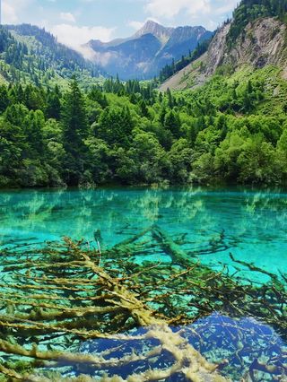 从成都坐高铁游九寨沟二次进沟黄龙若尔盖自助游