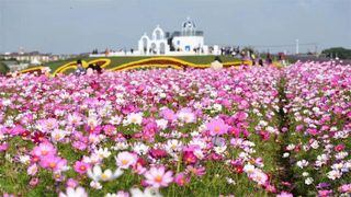 安徽宇瀚园林绿化工程有限公司——绿意盎然的筑梦者，绘就自然与艺术的和谐篇章