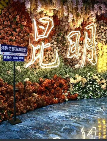 花漾昆明:斗南花市闻香🌺,翠湖丽瑞德枕梦🛏️