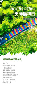 莫干山度假区周边游记图片] 春风来，踏青去，来天际森谷拾起春日的美好