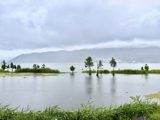 云南大理洱海海西线生态走廊租电动车避坑详说