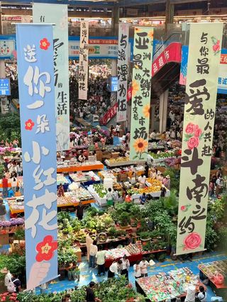 斗南花市游玩攻略:邂逅浪漫花海,入住翠湖之畔🌷