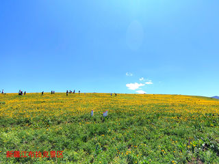 吾乐行的世界——行走于新疆的花花世界