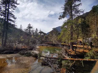 川西小众路线｜五一伍须海+猎塔湖3日｜一半森林，一半湖泊的原生态之旅