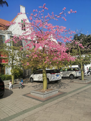 广东省广州市云台花园