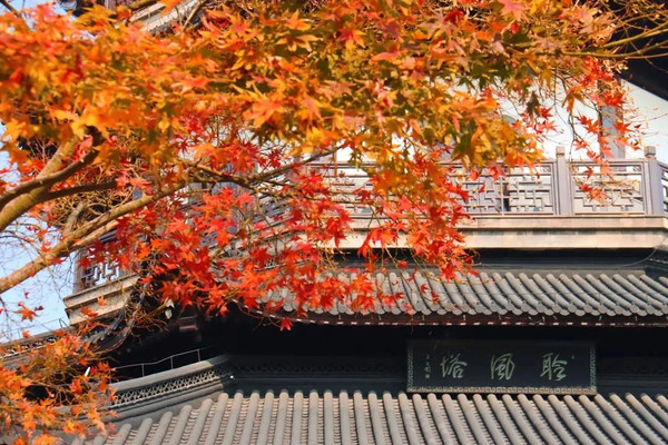 双山香山层林尽染，绝美氛围感