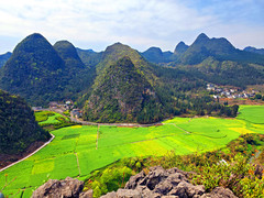万峰林景区游记图片] 贵州旅游：从万峰林到万峰湖二次行记（图）