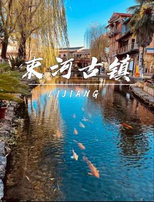 丽江：天边有云卷云舒，身边有岁月静好