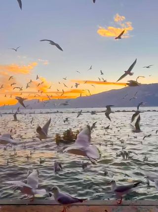 昆明翠湖丽瑞德酒店真的是惊喜满分！这次昆明之行完全被它圈粉了，位置绝佳不说，服务