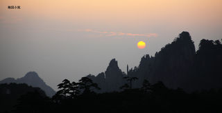 红日峰间出 奇松日中生 -- 黄山行之黄山日出