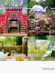 蒙顶山景区及周边游记图文-雅安名山——雅山雅水好风光