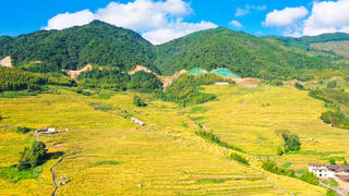 丰收好时节，走进宁德屏南，赴一场柏源千亩梯田的丰收节