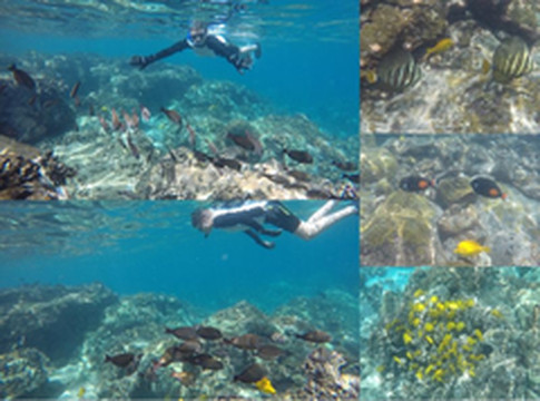 夏威夷岛游记图片] 【201707四人四周夏威夷四岛游】