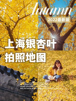 魔都11个赏银杏宝藏打卡地,建议收藏