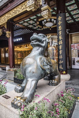 豫园华宝楼精彩掠影