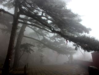 泰山最原始古朴、风景最美的线路