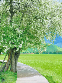 四姑娘山景区游记图片] 端午节三天成都周边人少小众景点值得打卡点