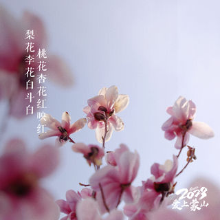 繁花与春风撞个满怀，在蒙山总有不期而遇的美好