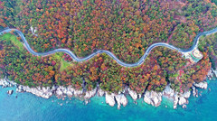 庆尚南道游记图片] 海边浪漫之旅-南海郡