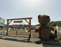 靖宇游记图片] 沈阳自驾，游长白山，住花园口花好悦园——省钱又好玩。