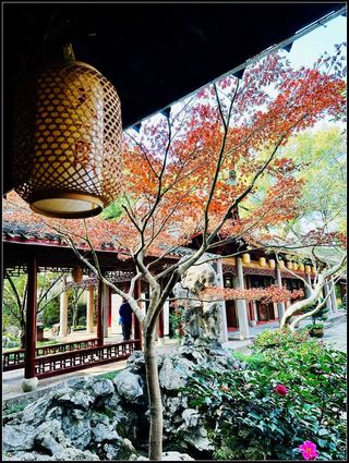 2023.12宁波、杭州、乌镇、嘉兴自由行