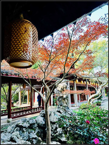 2023.12宁波、杭州、乌镇、嘉兴自由行