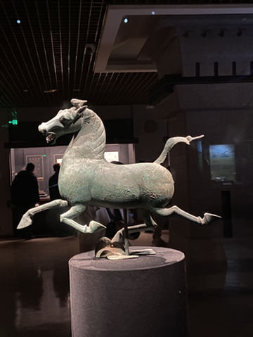 带着77岁老妈游西藏(十四)兰州一日游,甘肃省博物馆,马踏飞燕,西北美食