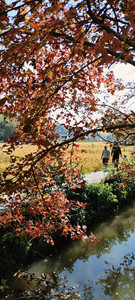 皖南地区游记图文-皖南秋色美如画