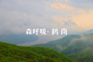 鹤岗游记图文-森呼吸的大美【鹤岗】3天两晚攻略在这啦！