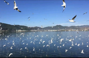 滇池风景区/融创滇池后海游记图文-昆明亲子游攻略 适合亲子游的地方 带娃旅游攻略 适合孩子玩的景点 昆明看海欧