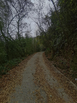 成都周边景点游 不一样的1月之旅