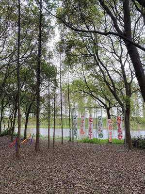 在湖州龙之梦旁的云梦谷情侣许愿，祈愿爱情天长地久