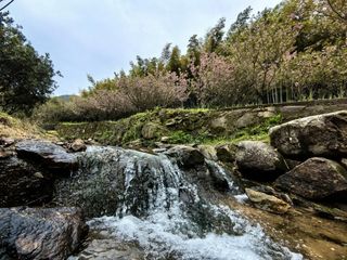 假期打卡江浙沪 从宁波开始放飞自我