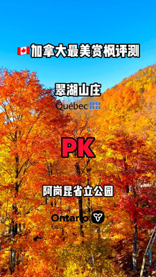 多伦多vs蒙特利尔：加拿大最美赏枫评测-魁省翠湖山庄PK安省阿岗昆国立公园