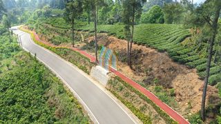 成都蒲江又一重大文旅体项目开园 在这里感受公园城市的诗和远方