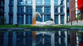 四月洛阳自驾游全攻略，干货进来看｜