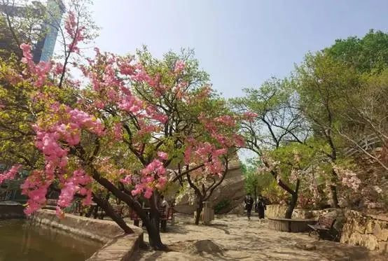 春暖花开浪漫时,约惠北京清凉谷风景区!