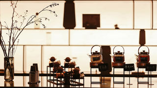 🎀肌肤新生|在指尖魔法中重获青春光采