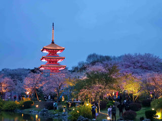 带着父母去旅行，从北方来武汉——记录外地人如何慢节奏游江城