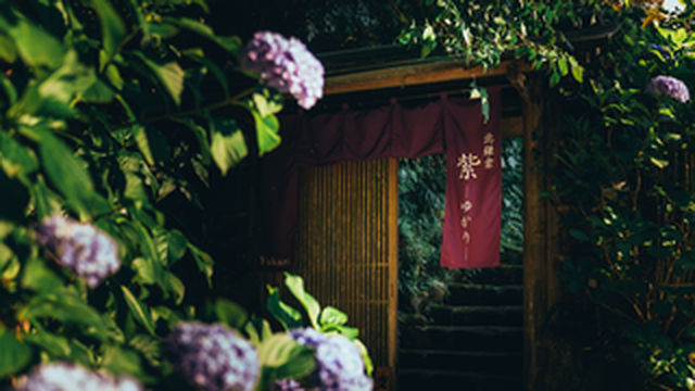 紫阳巡礼与《神奈川冲浪里》 ——东京、日光、镰仓、伊東5日自由行