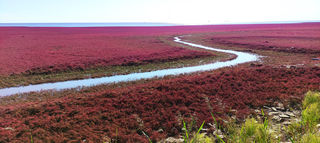 2023北上赏秋之旅（一）山海关、盘锦篇