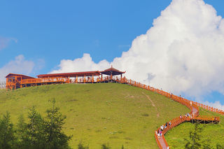 逃离城市的炎热,来河北承德丰宁坝上草原,过一个清凉的夏日!