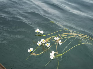 彩云之南-云南十日游