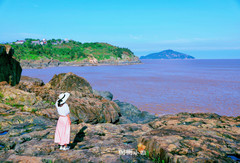 台州游记图片] 这个春天的旅行我记忆最深刻的就是原始的海岛旅行