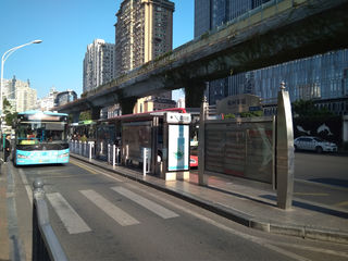 厦门 冬 2024年1月上旬 1