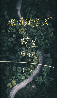 【茂兰日记】秘境茂兰,一颗隐逸在深闺中的绿宝石