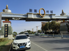 新疆游记图片] 自驾南疆30天（第八篇－莎车、叶城）