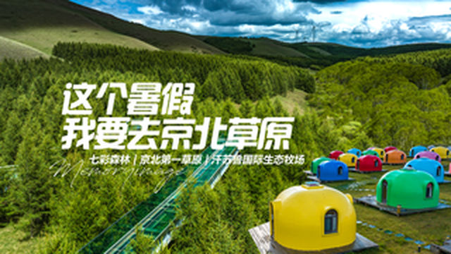 这个暑假，我要去京北草原，过只有20℃的夏天