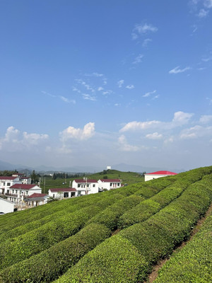 关于瓷都景德镇和江西之美的旅行
