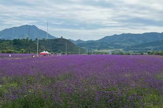 2024-9-15至9-17 中秋假期 延庆